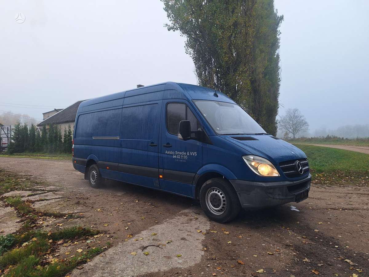 Mercedes-Benz Sprinter 2010 — rear view