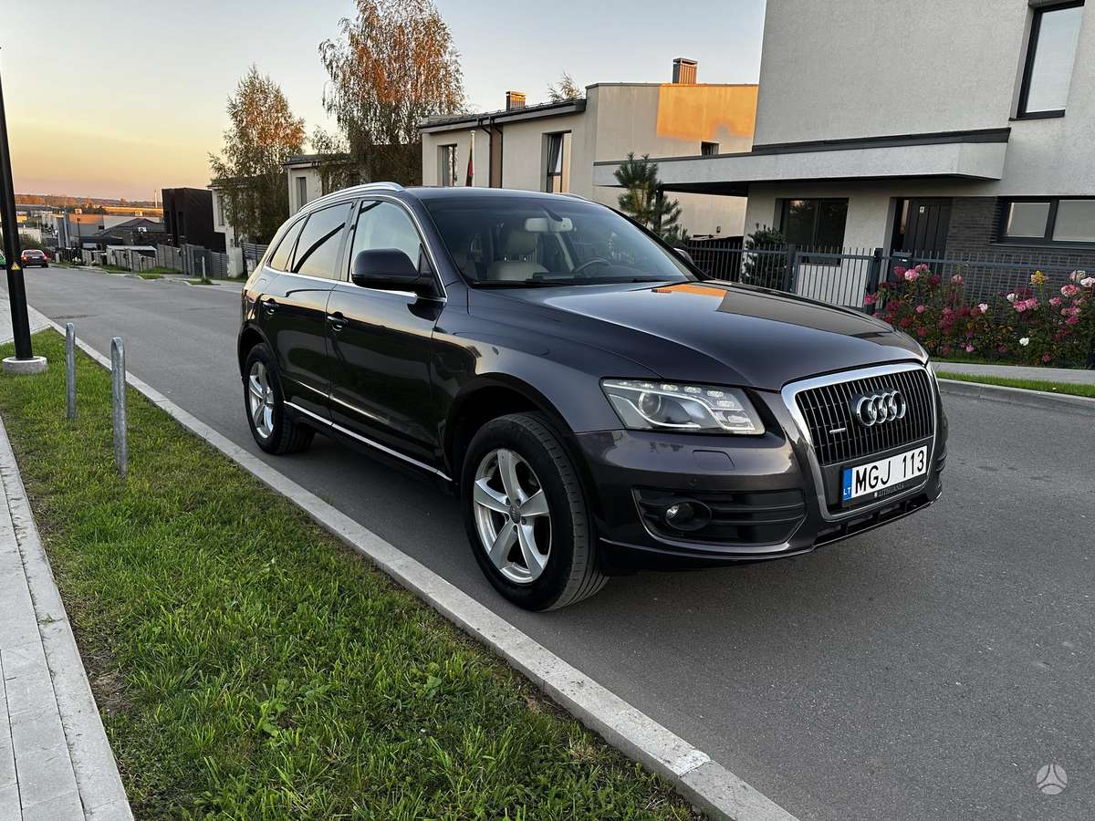 Audi Q5 2009 — rear view