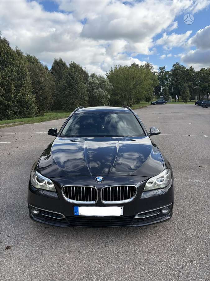 BMW 530 2014 — вигляд ззаду