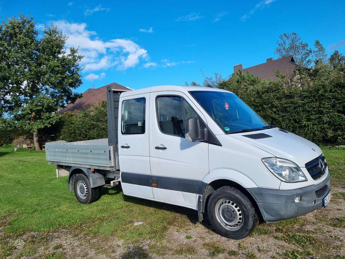 Mercedes-Benz Sprinter 2010 — rear view