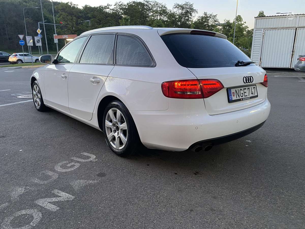 Audi A4 2010 — вигляд ззаду