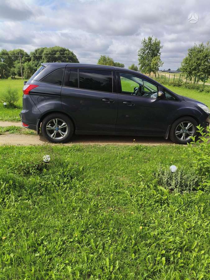 Ford Grand 2014 — rear view