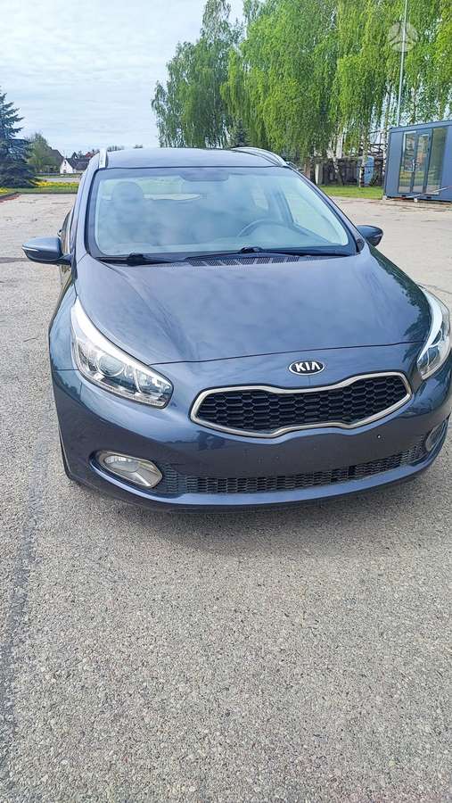 Kia Ceed 2013 — вигляд ззаду