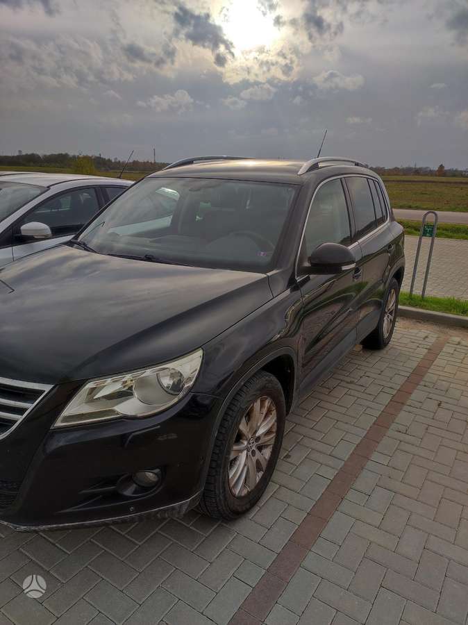 Volkswagen Tiguan 2010 — rear view