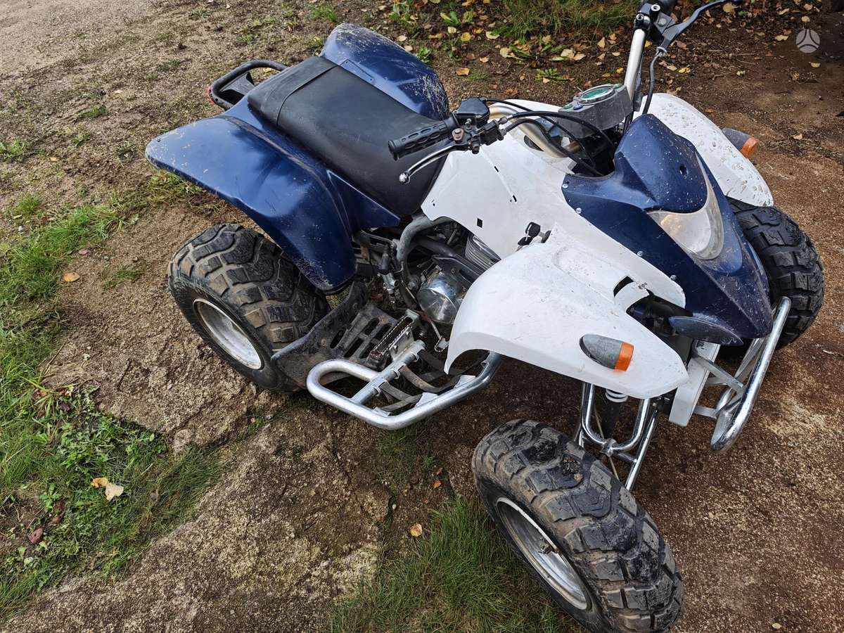SMC Wildcat 2005 — двигун 250 cm³