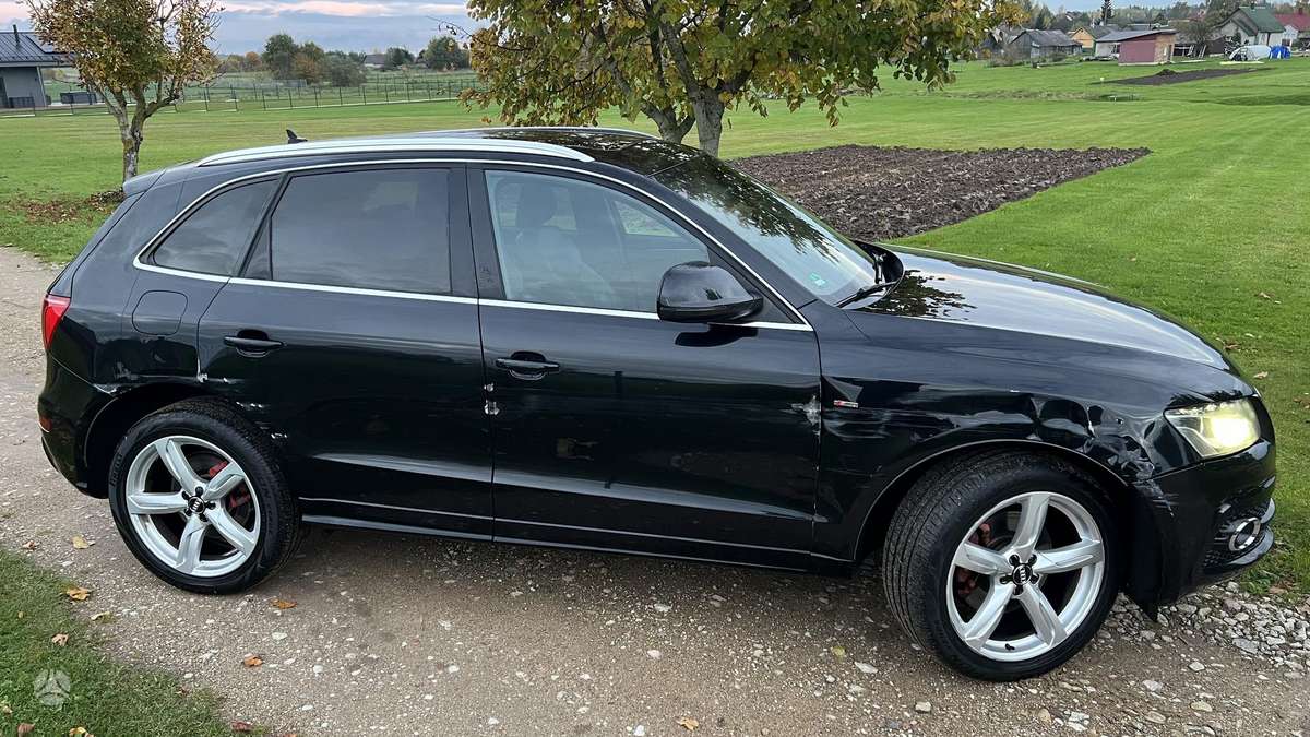 Audi Q5 2010 — вигляд ззаду