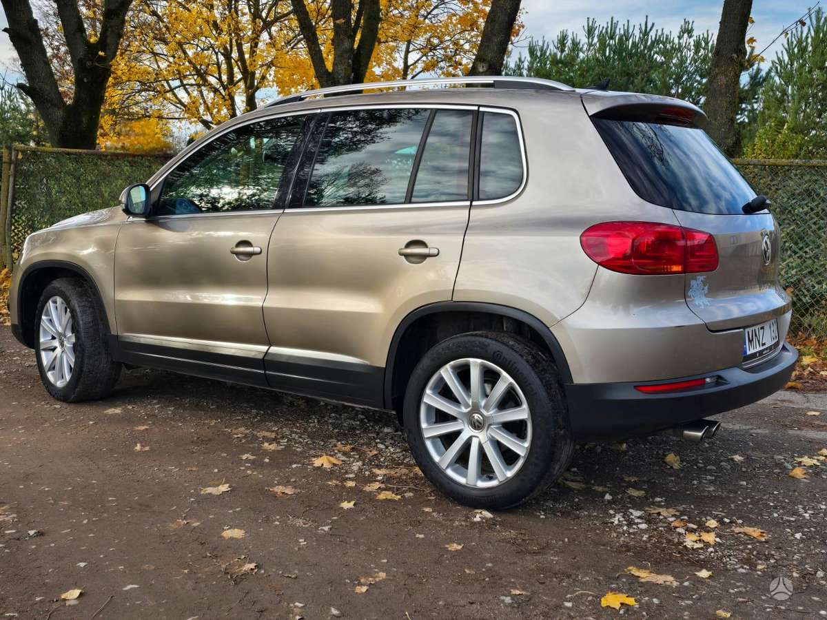 Volkswagen Tiguan 2015 — вигляд ззаду