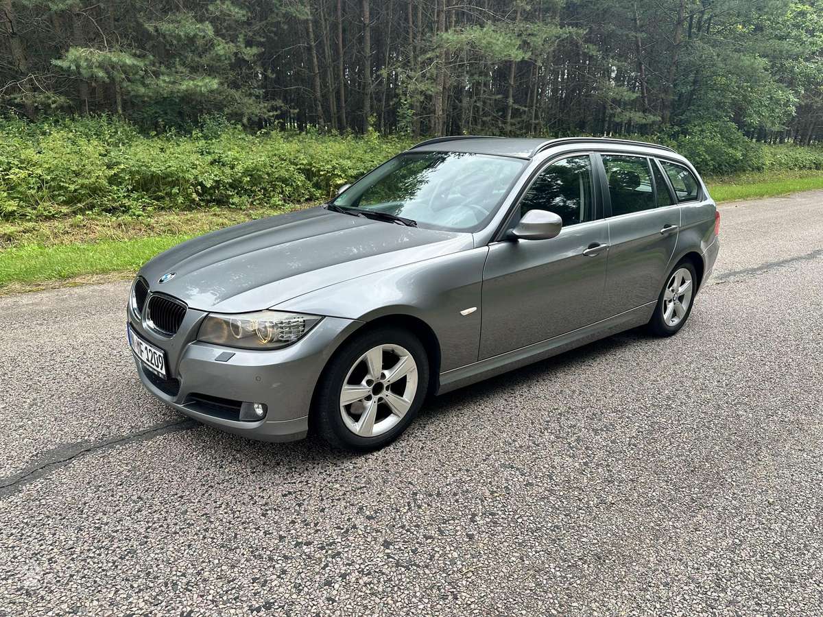 BMW 318 2011 — салон