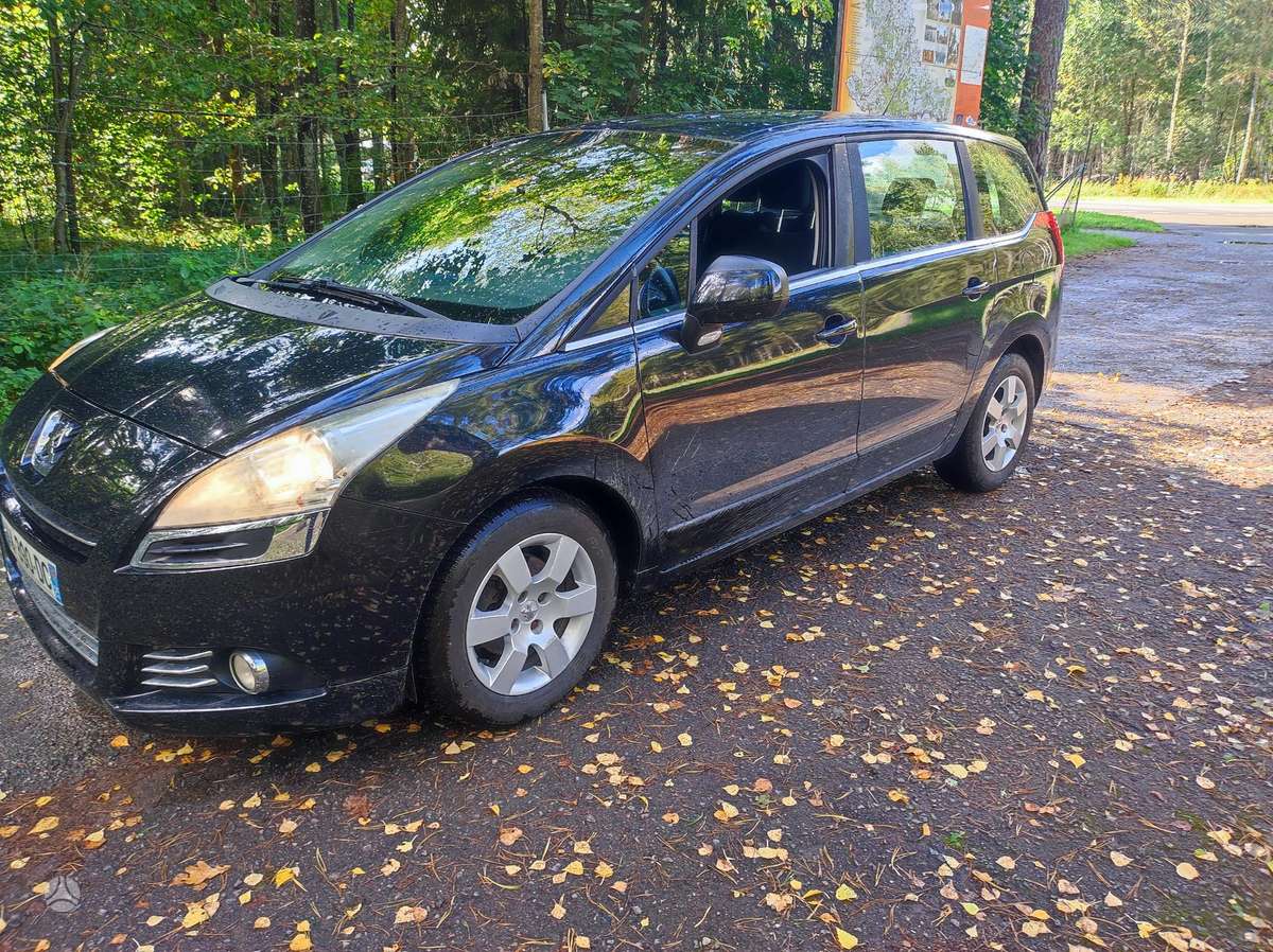 Peugeot 5008 2010 — вигляд ззаду
