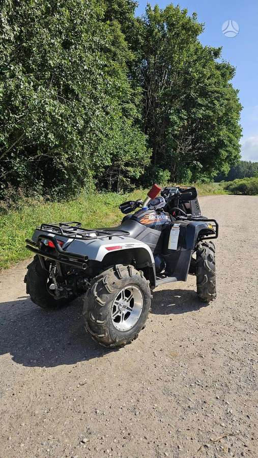 Arctic Cat 2009 — interior