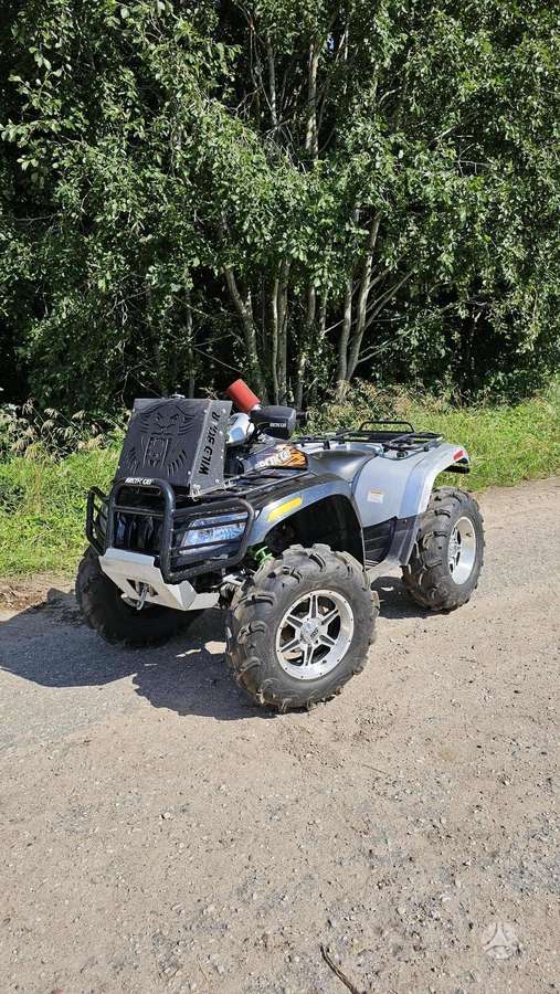 Arctic Cat 2009 — photo 5