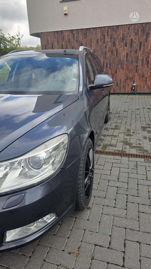 Skoda Octavia 2010 — вигляд ззаду