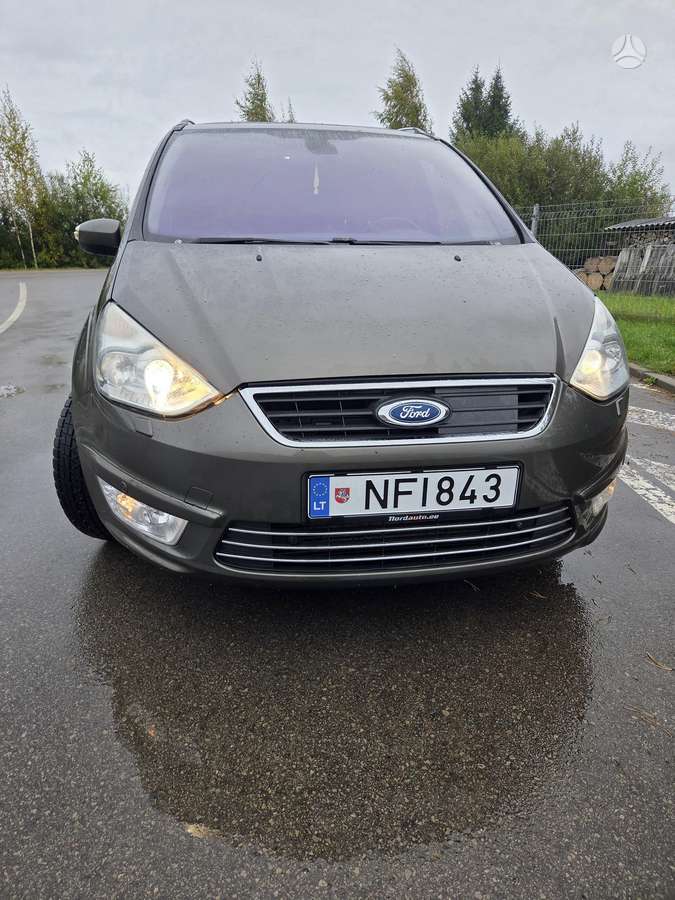 Ford Galaxy 2010 — вигляд ззаду