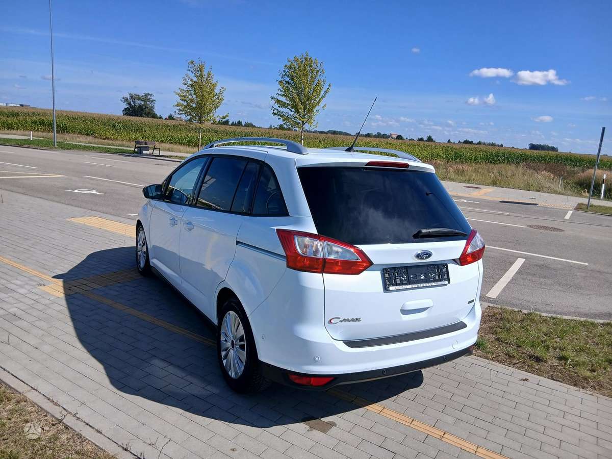 Ford Grand 2015 — photo 10