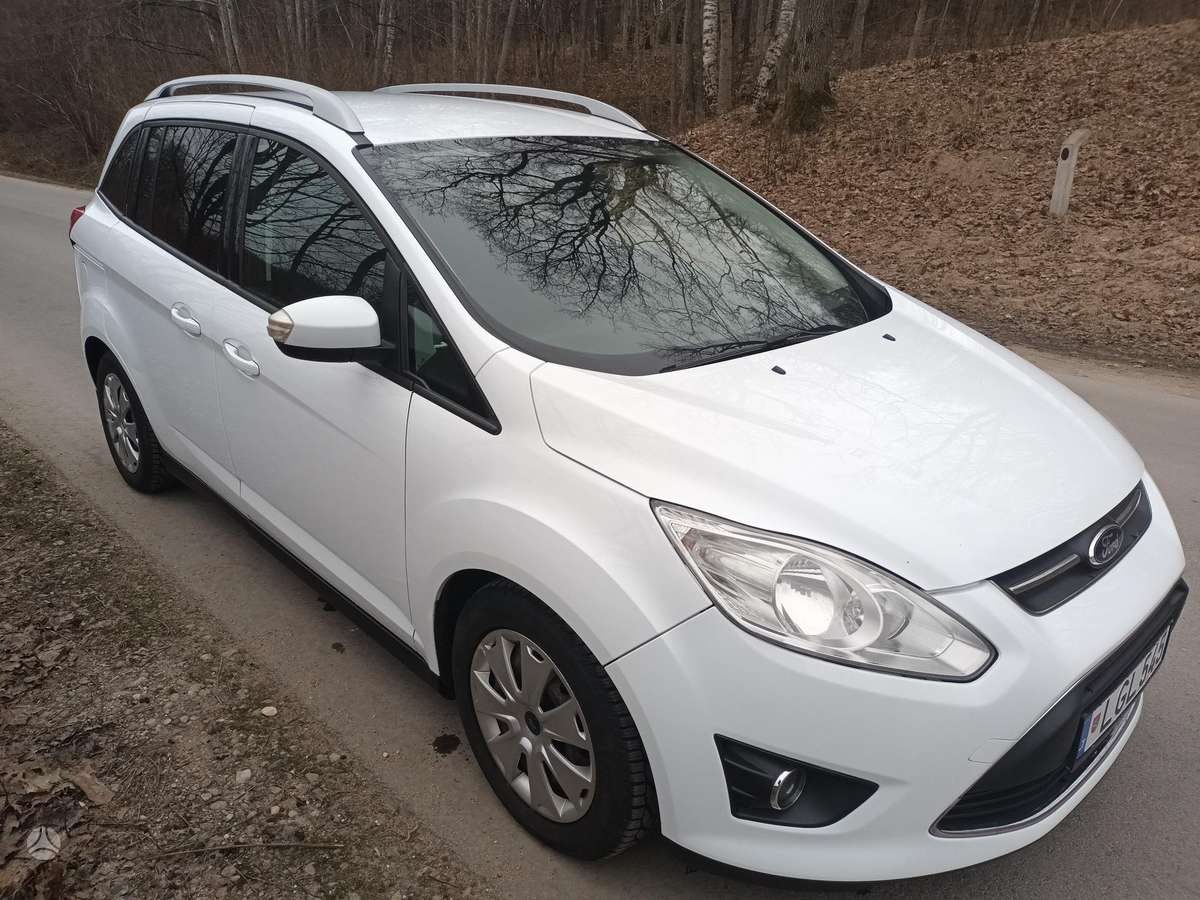 Ford Grand 2014 — rear view