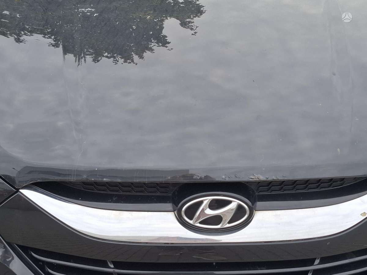 Hyundai ix35 2010 — вигляд ззаду