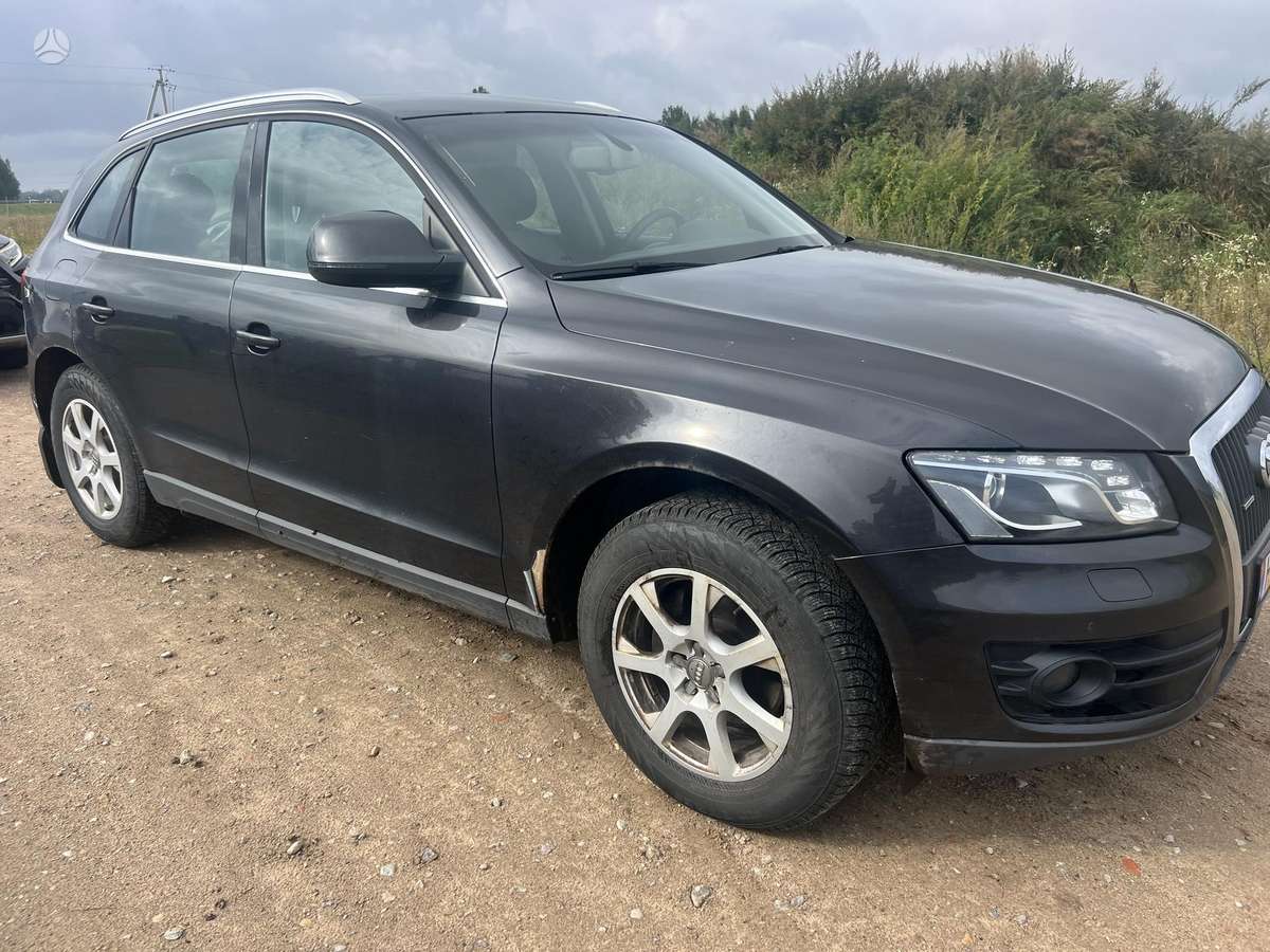 Audi Q5 2010 — rear view