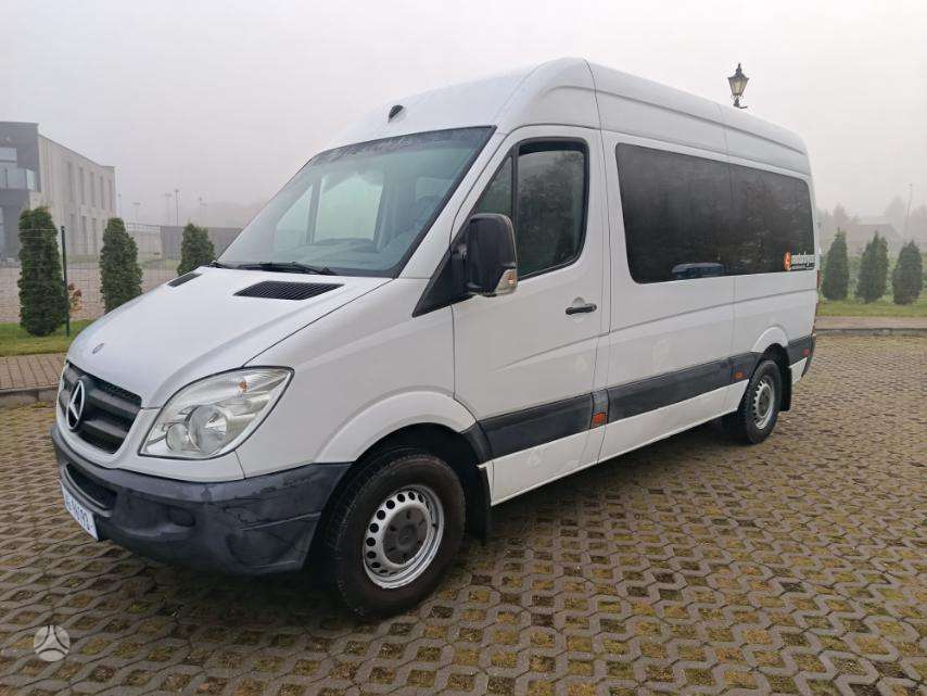 Mercedes-Benz Sprinter 2010 — вигляд ззаду