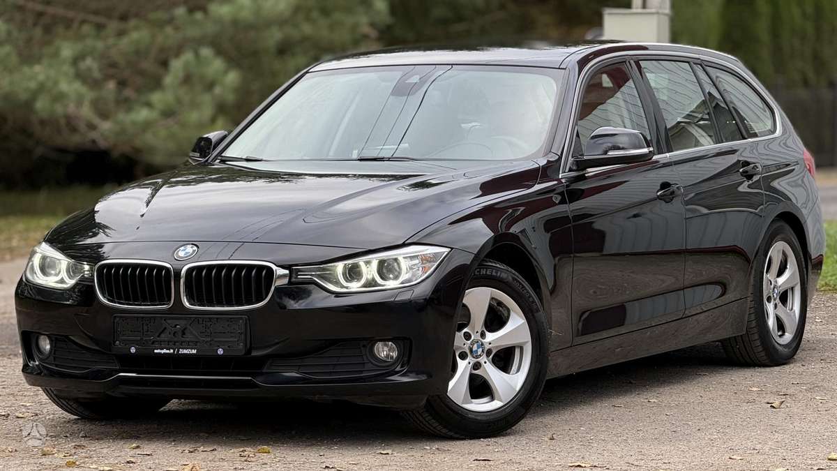 BMW 318 2013 — вигляд ззаду