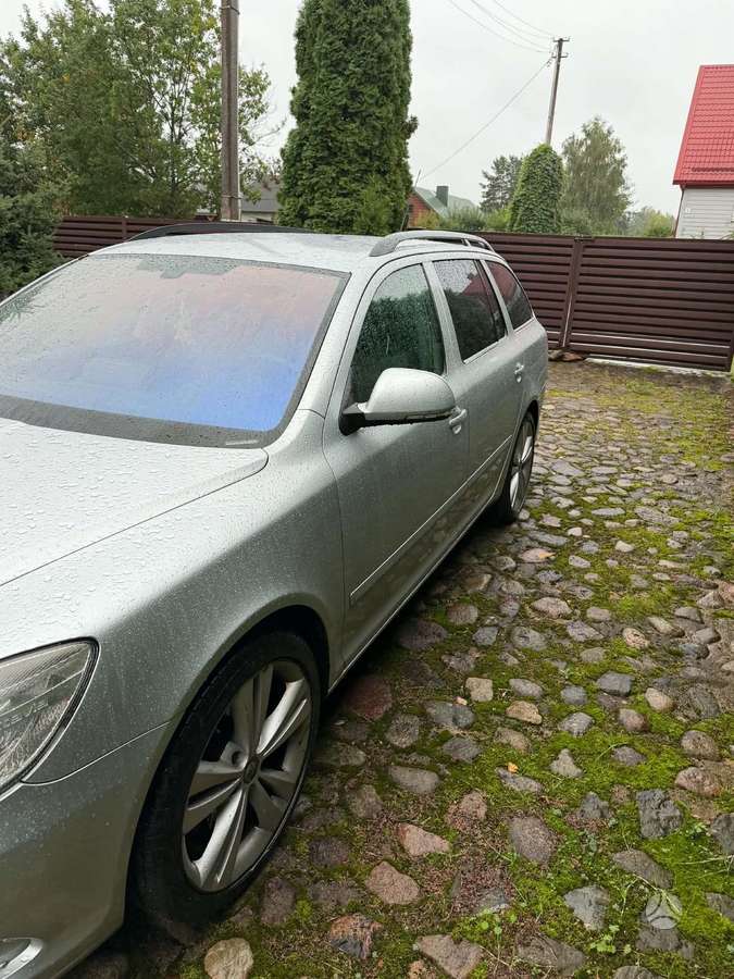 Skoda Octavia 2010 — вигляд ззаду
