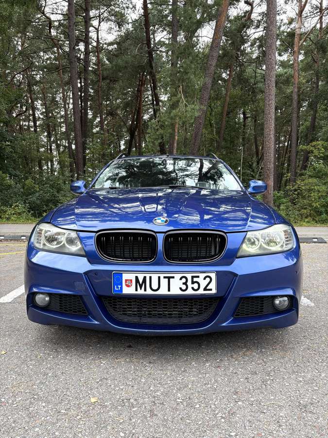 BMW 318 2010 — interior