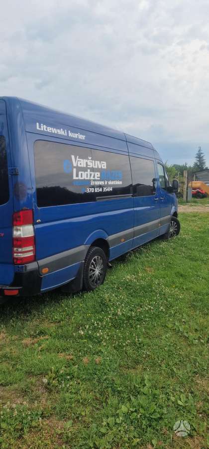 Mercedes-Benz Sprinter 2009 — rear view
