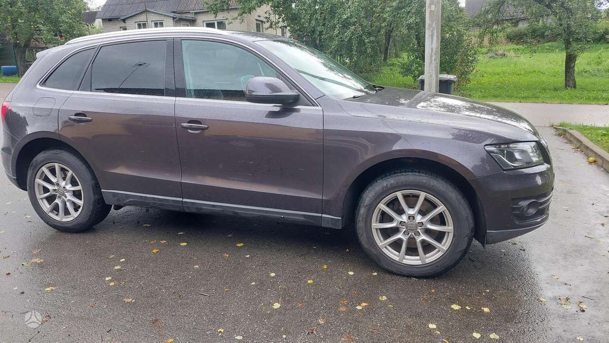 Audi Q5 2009 — rear view