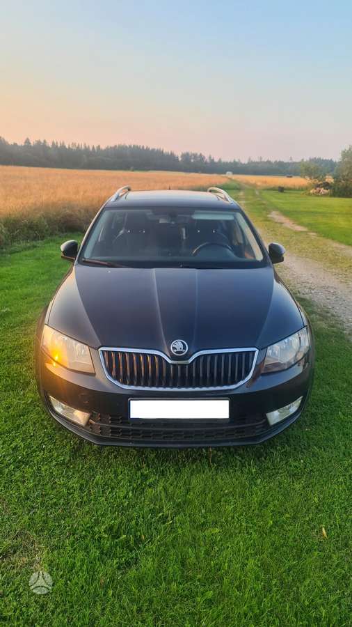 Skoda Octavia 2015 — вигляд ззаду