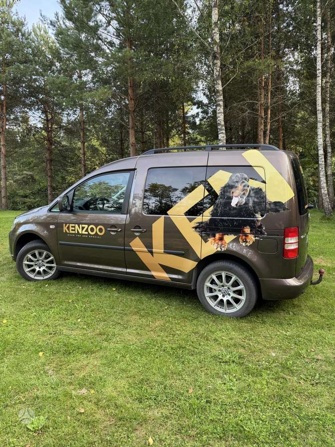 Volkswagen Caddy 2012 — вигляд ззаду