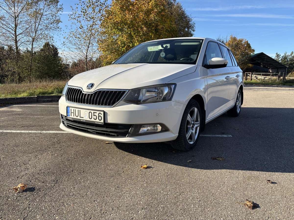 Skoda Fabia 2015 — photo 6