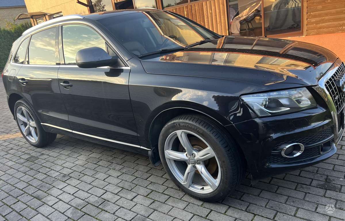 Audi Q5 2009 — rear view