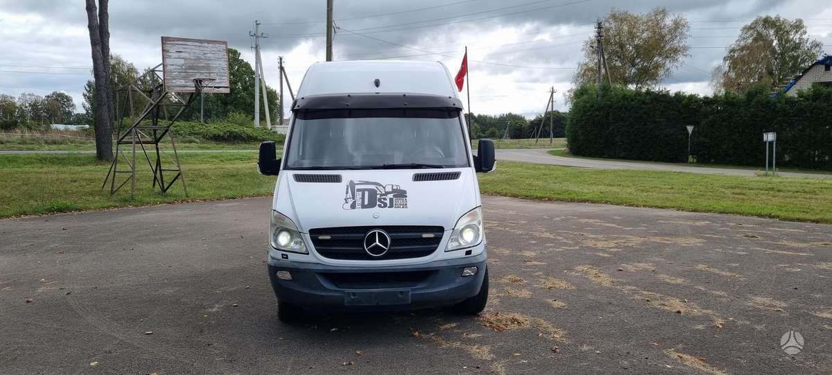 Mercedes-Benz Sprinter 2010 — вигляд ззаду