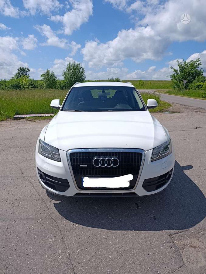 Audi Q5 2011 — вигляд ззаду