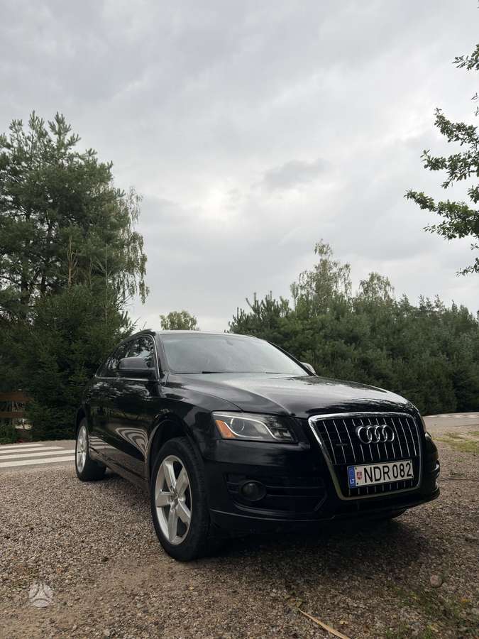 Audi Q5 2010 — rear view