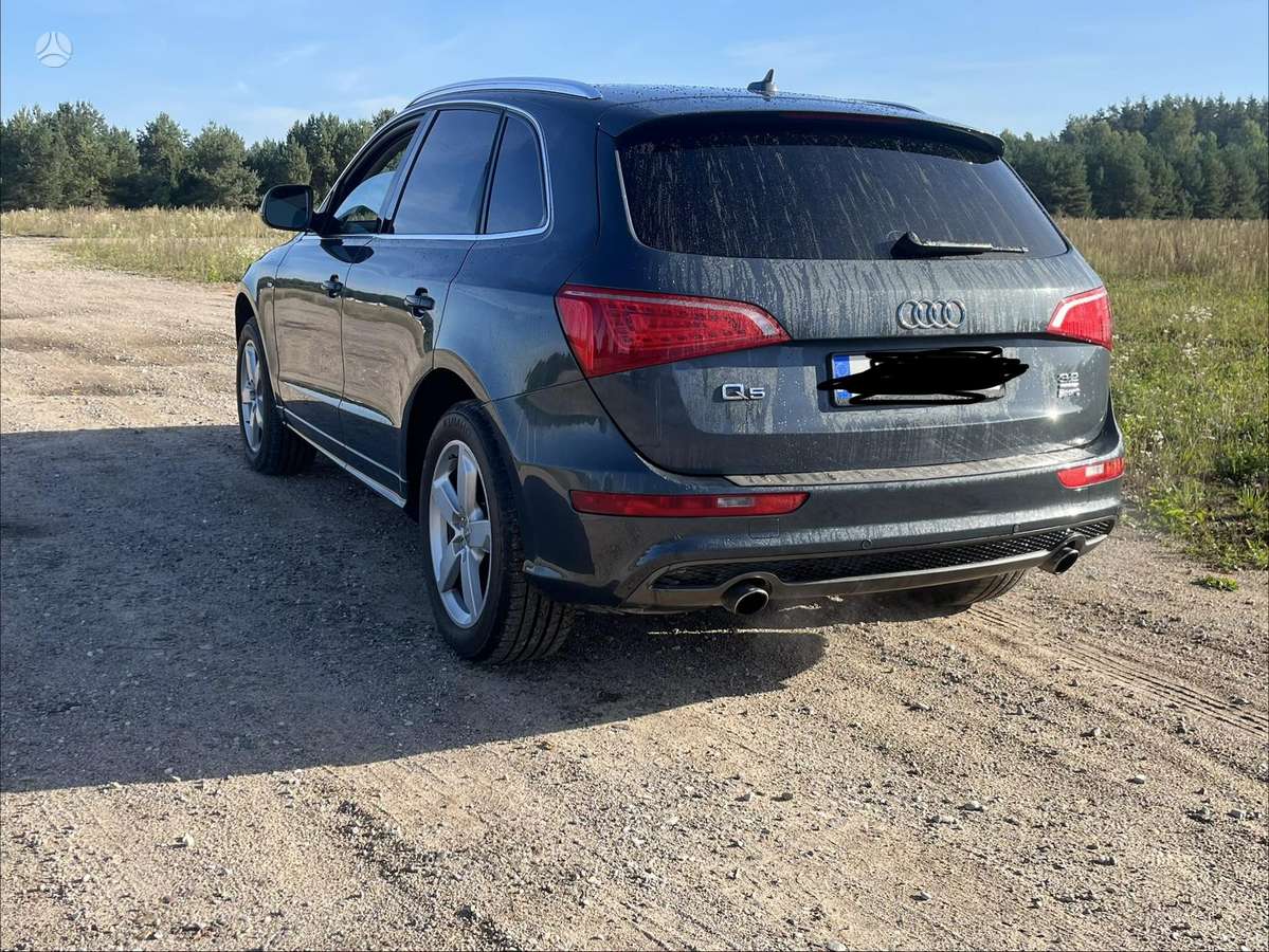 Audi Q5 2011 — вигляд ззаду