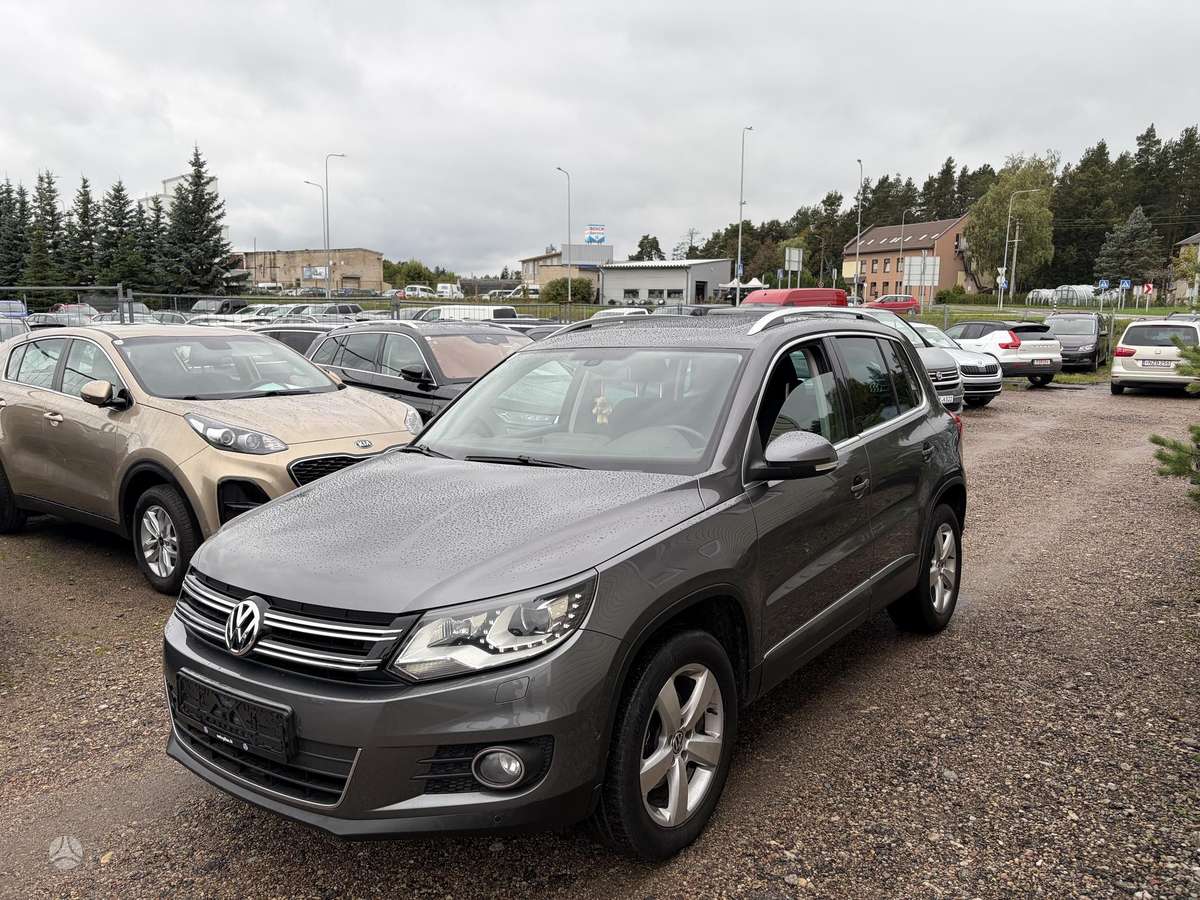 Volkswagen Tiguan 2011 — вигляд ззаду