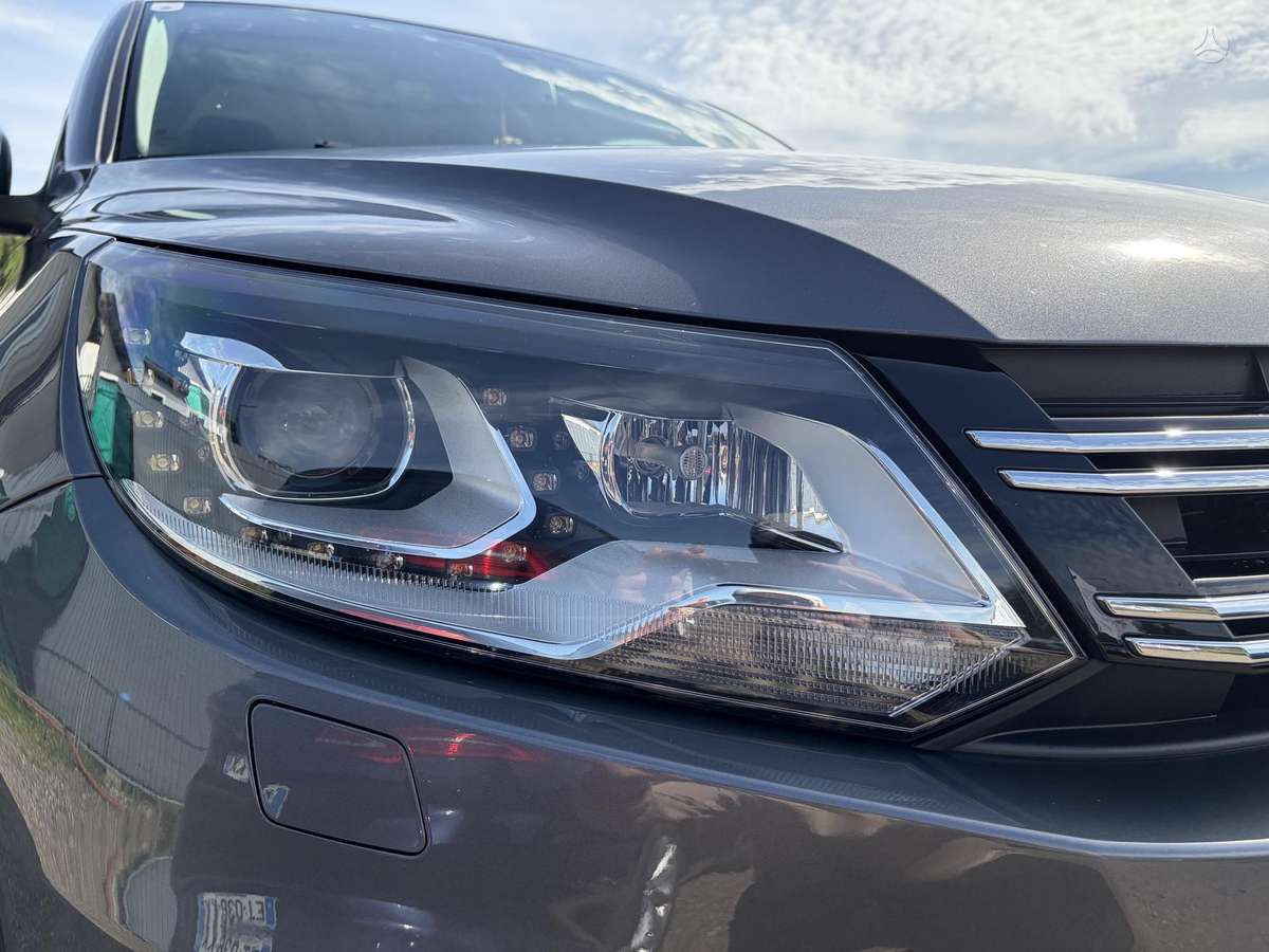 Volkswagen Tiguan 2011 — вигляд ззаду