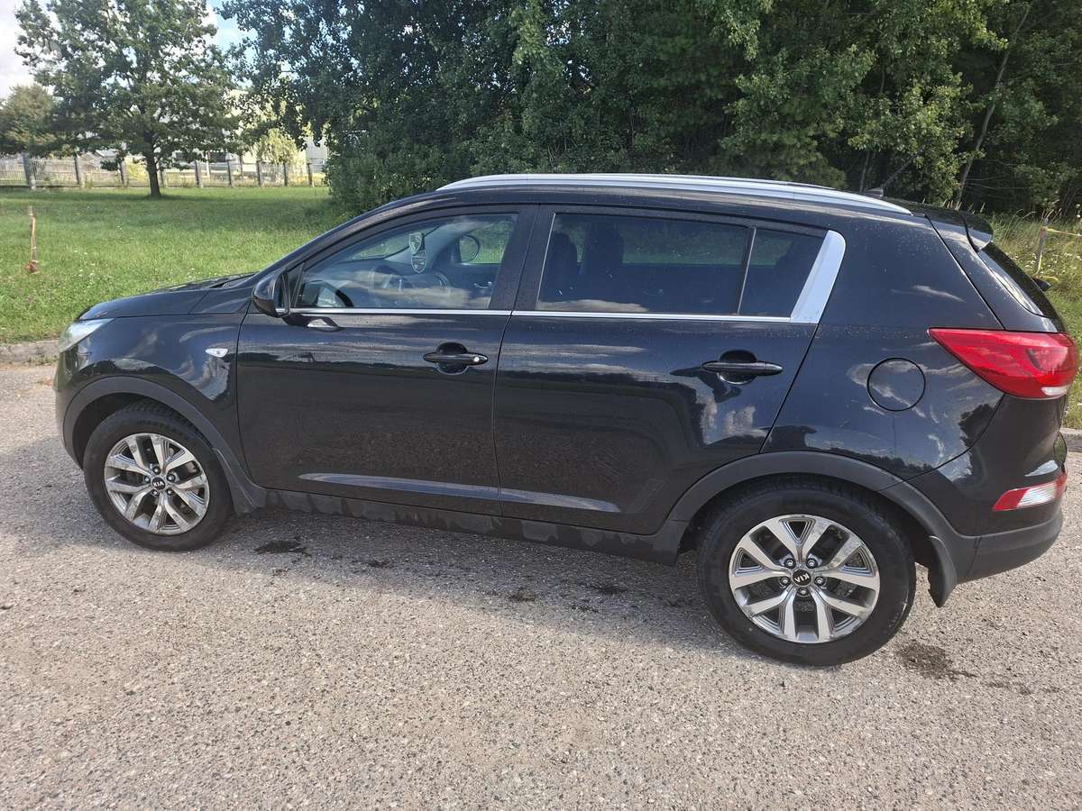 Kia Sportage 2015 — rear view