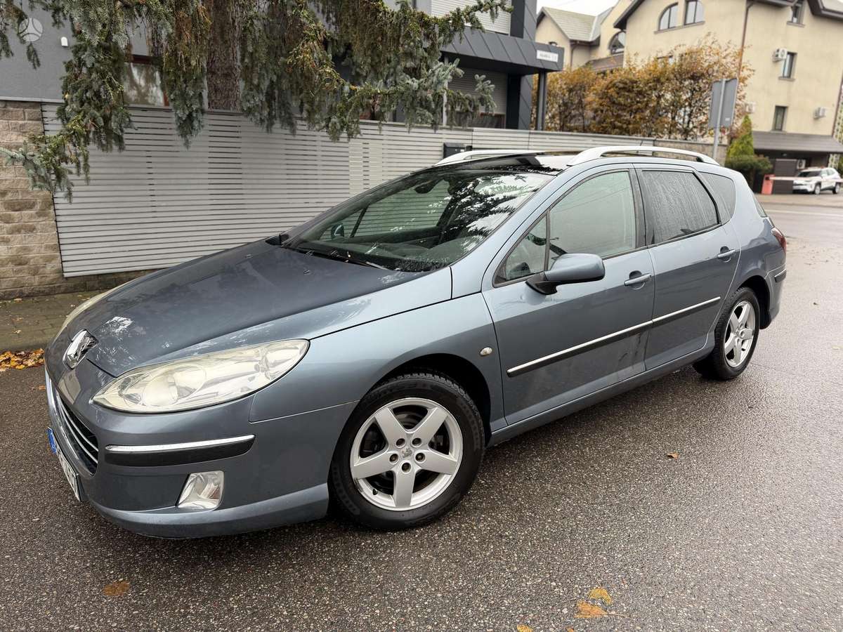 Peugeot 407 2005 — вигляд ззаду