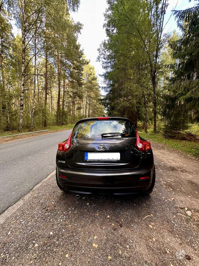 Nissan Juke 2010 — rear view