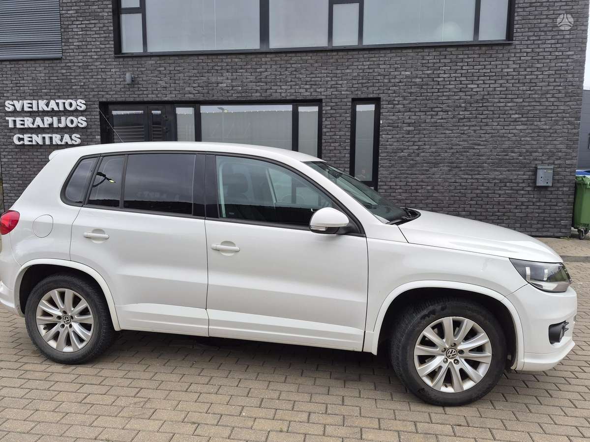 Volkswagen Tiguan 2010 — rear view