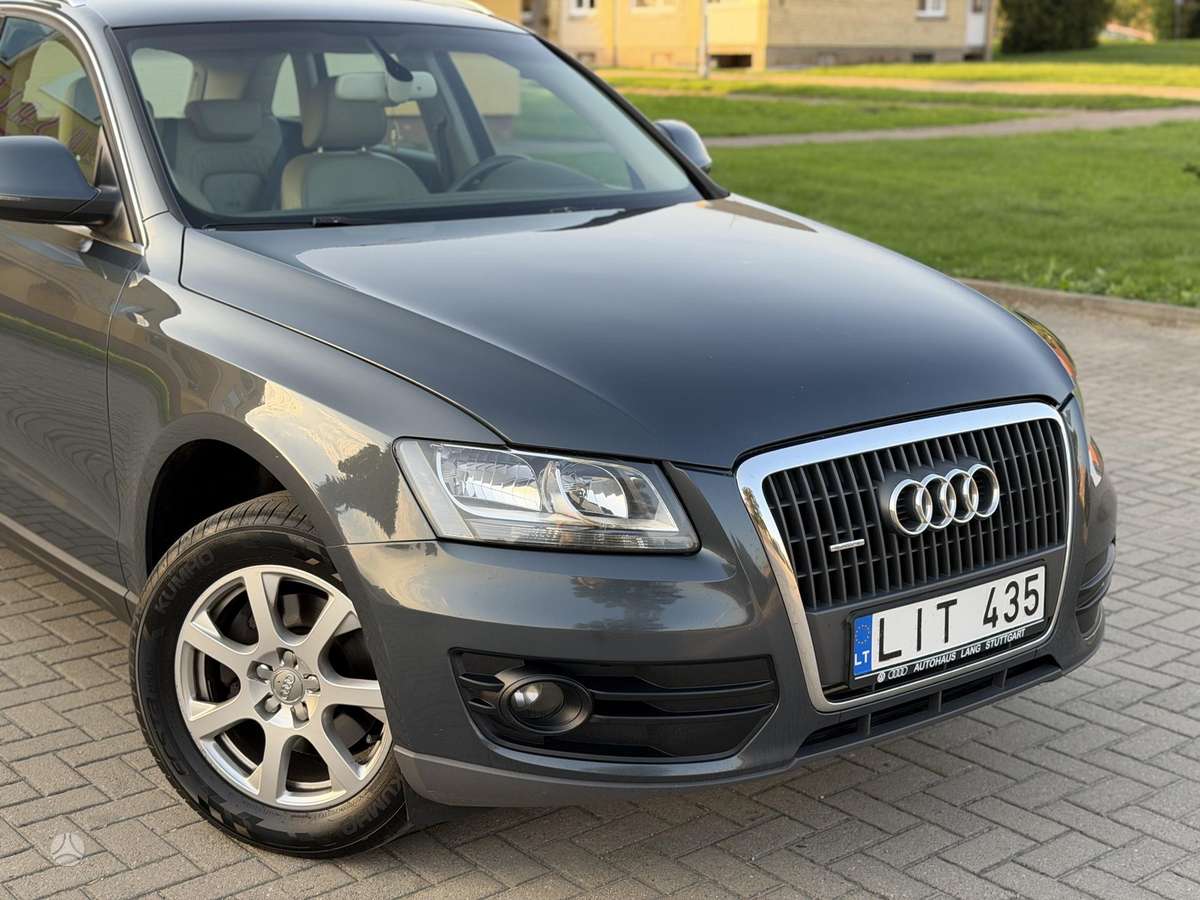 Audi Q5 2010 — rear view