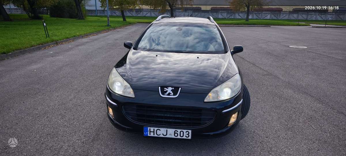 Peugeot 407 2007 — rear view