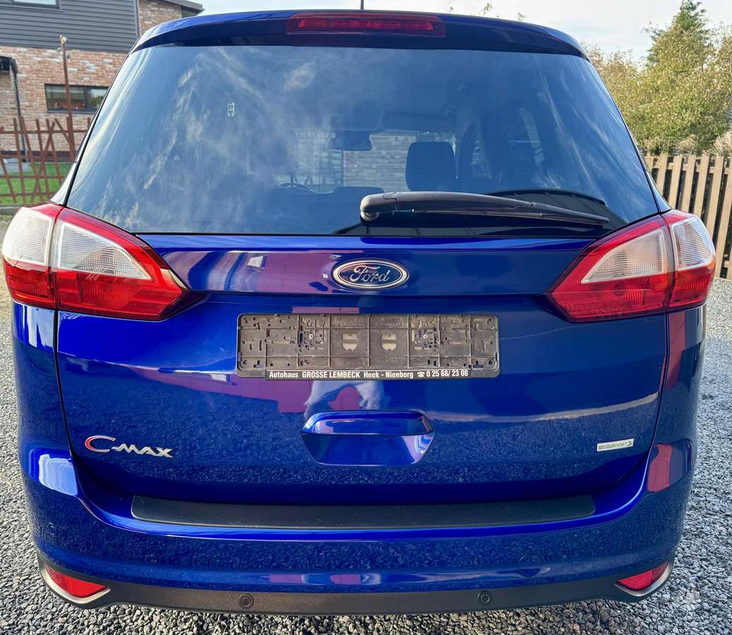 Ford Grand 2014 — photo 10