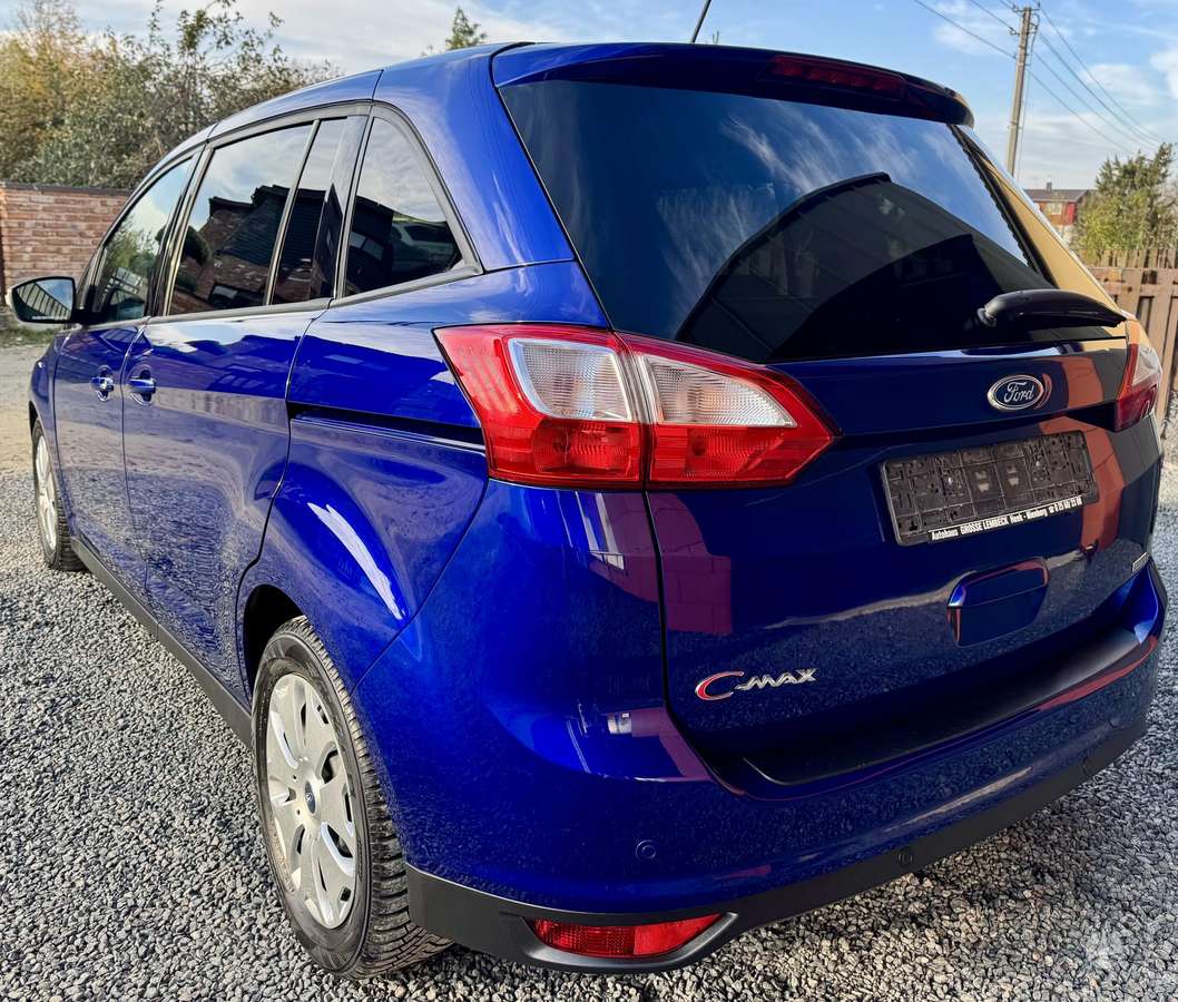 Ford Grand 2014 — photo 8