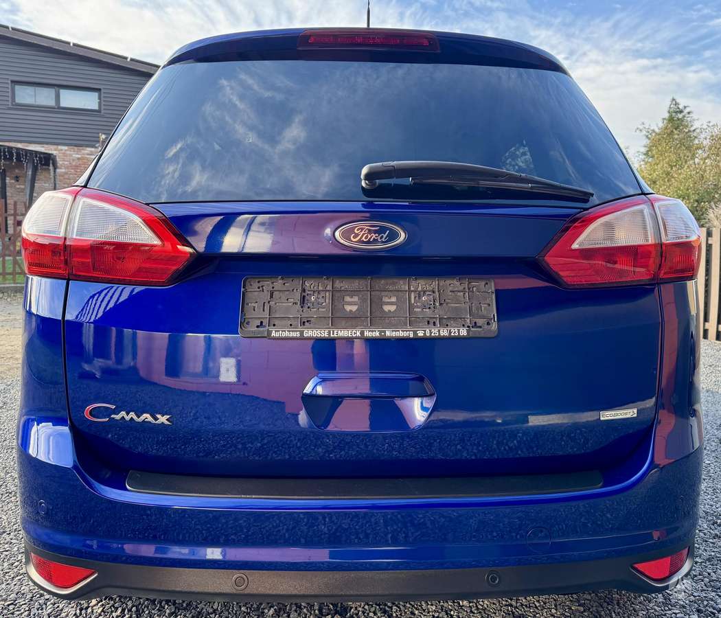 Ford Grand 2014 — photo 9