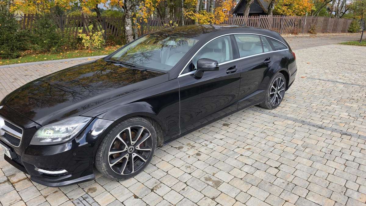 Mercedes-Benz CLS250 2014 — rear view