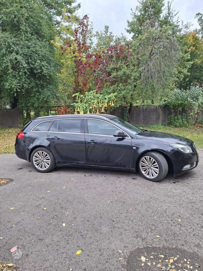 Opel Insignia 2010 — rear view
