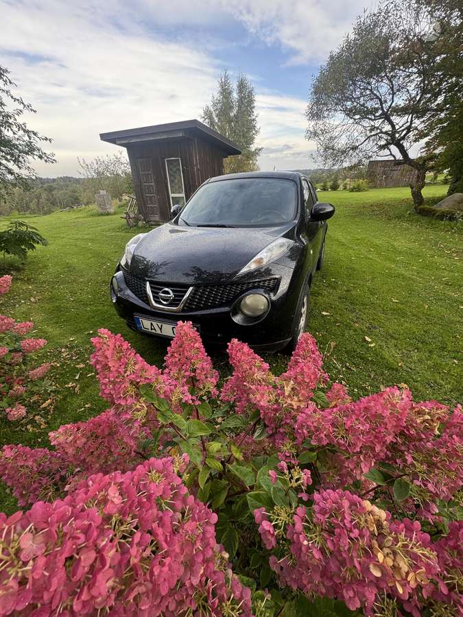 Nissan Juke 2011 — авто для ЗСУ з Європи