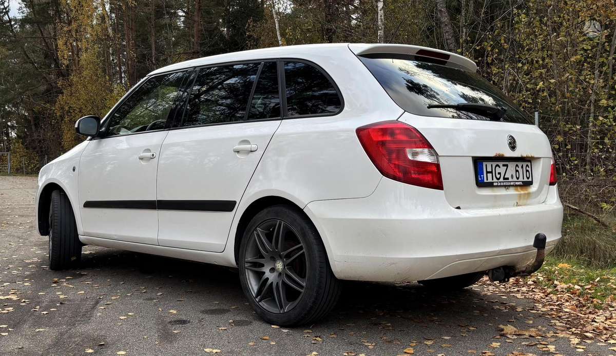 Skoda Fabia 2010 — вигляд ззаду
